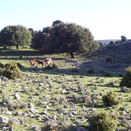 Agriturismo Didone Доргали Екстериор снимка
