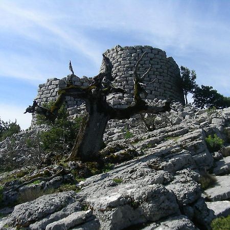 Agriturismo Didone Доргали Екстериор снимка