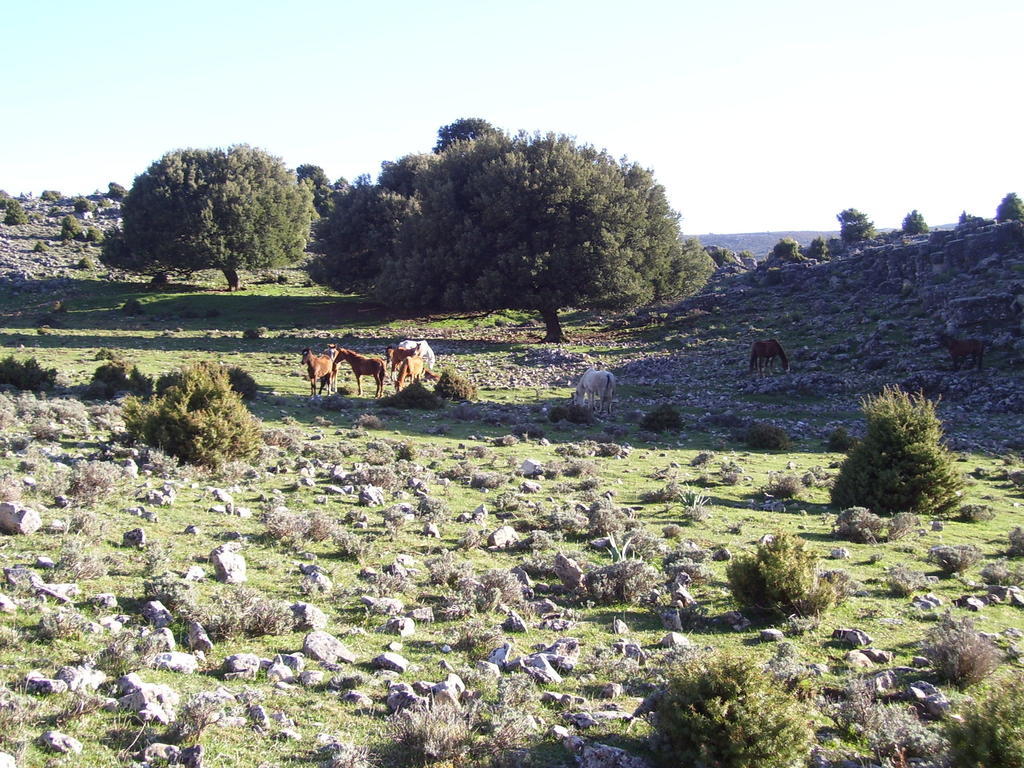 Agriturismo Didone Доргали Екстериор снимка